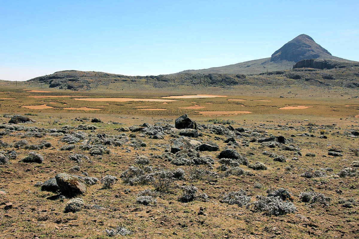 Плато Санети, image of landscape/habitat.