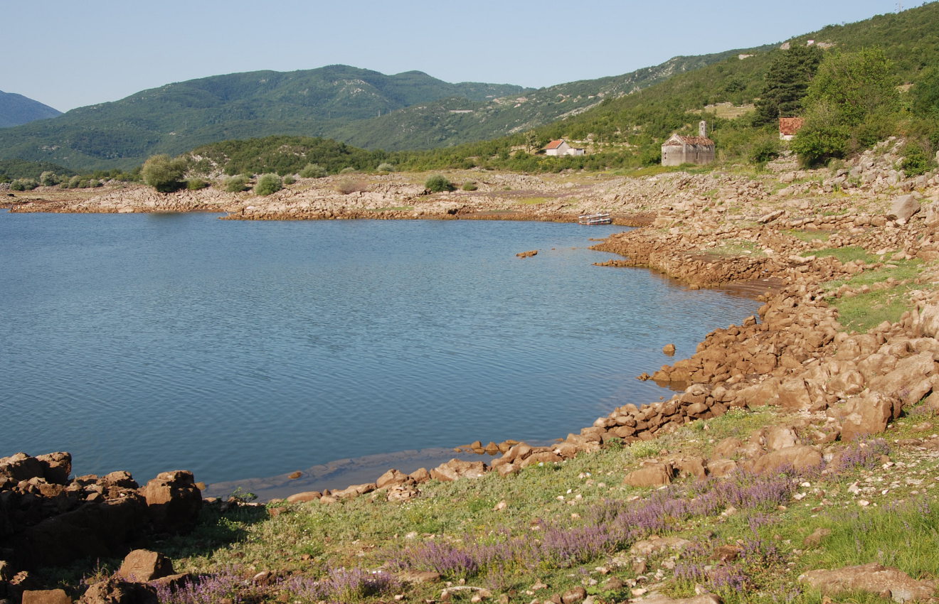 Сланское озеро (западный берег), image of landscape/habitat.