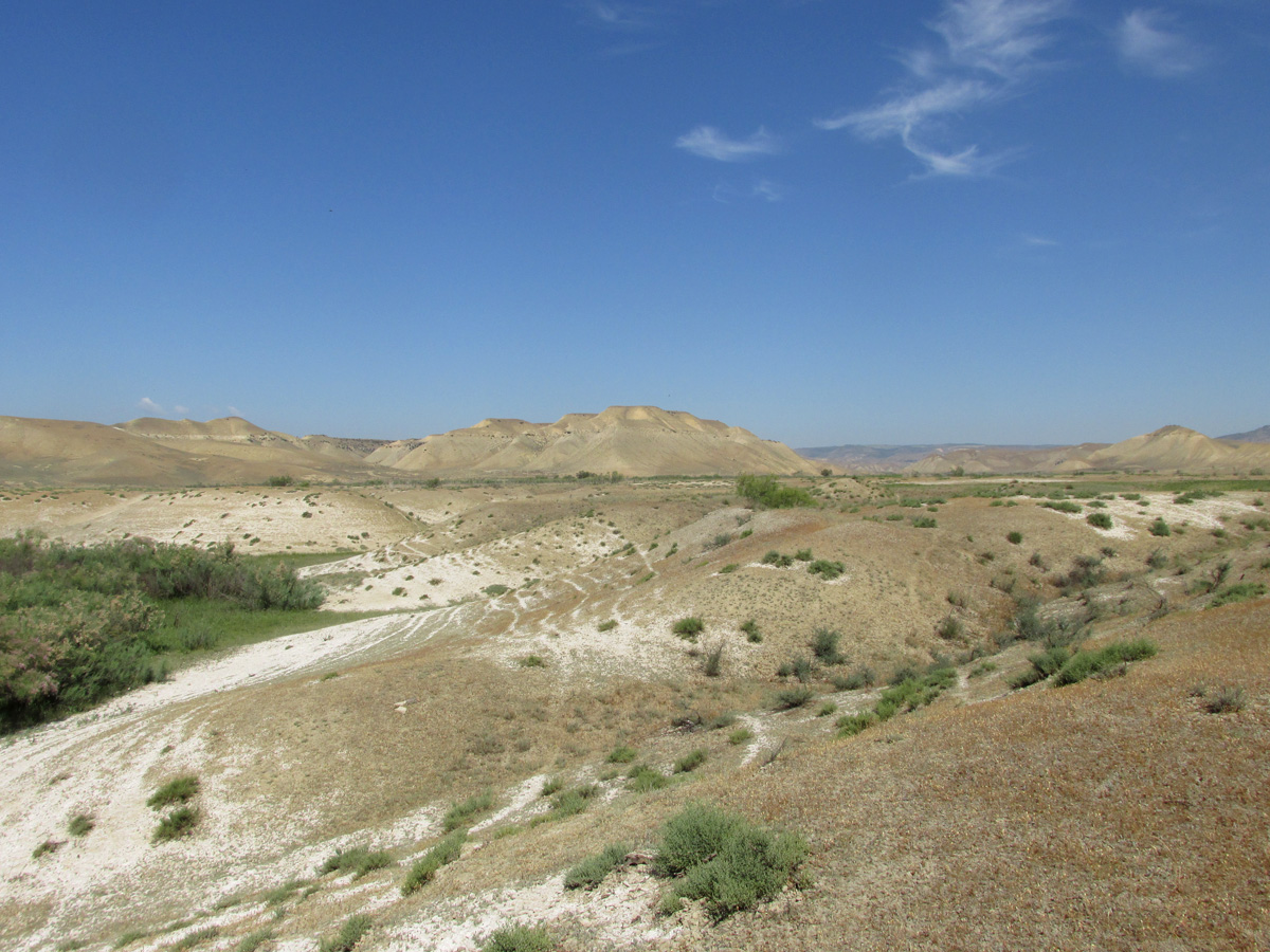 Долина реки Рубас, image of landscape/habitat.