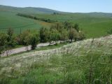 Терский хребет, image of landscape/habitat.