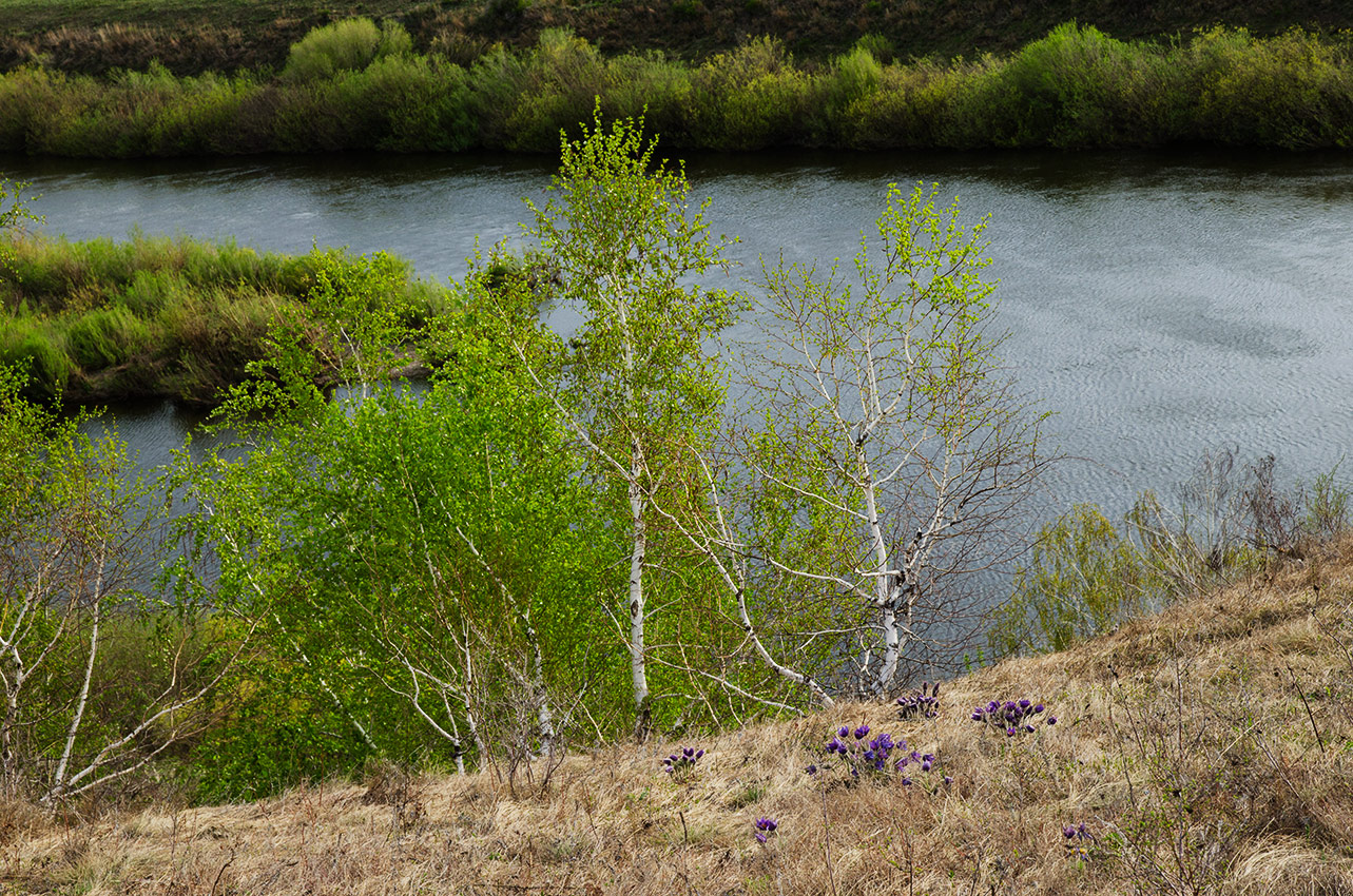 Богдановское, image of landscape/habitat.