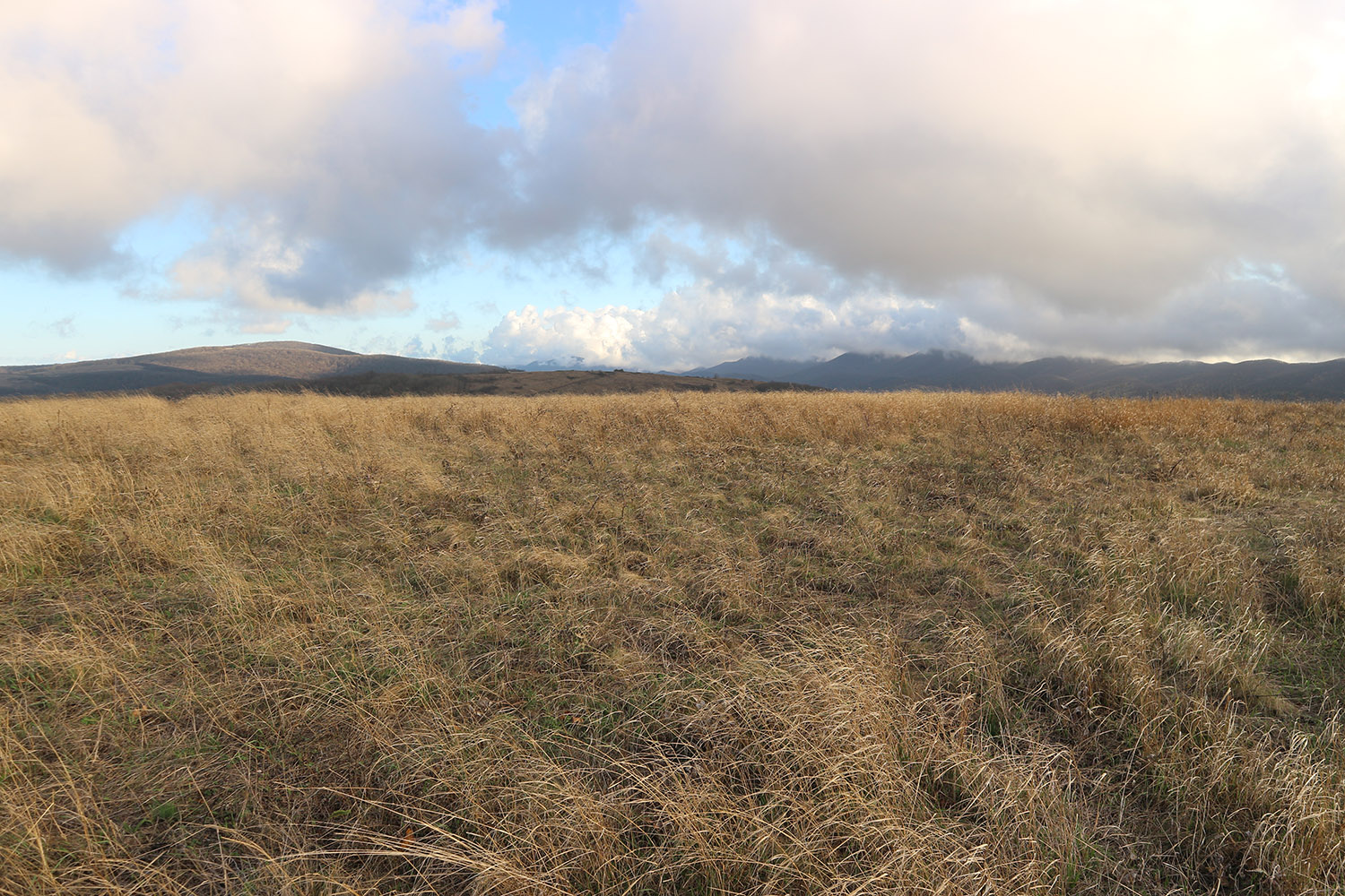 Лысая-Неберджаевская, image of landscape/habitat.