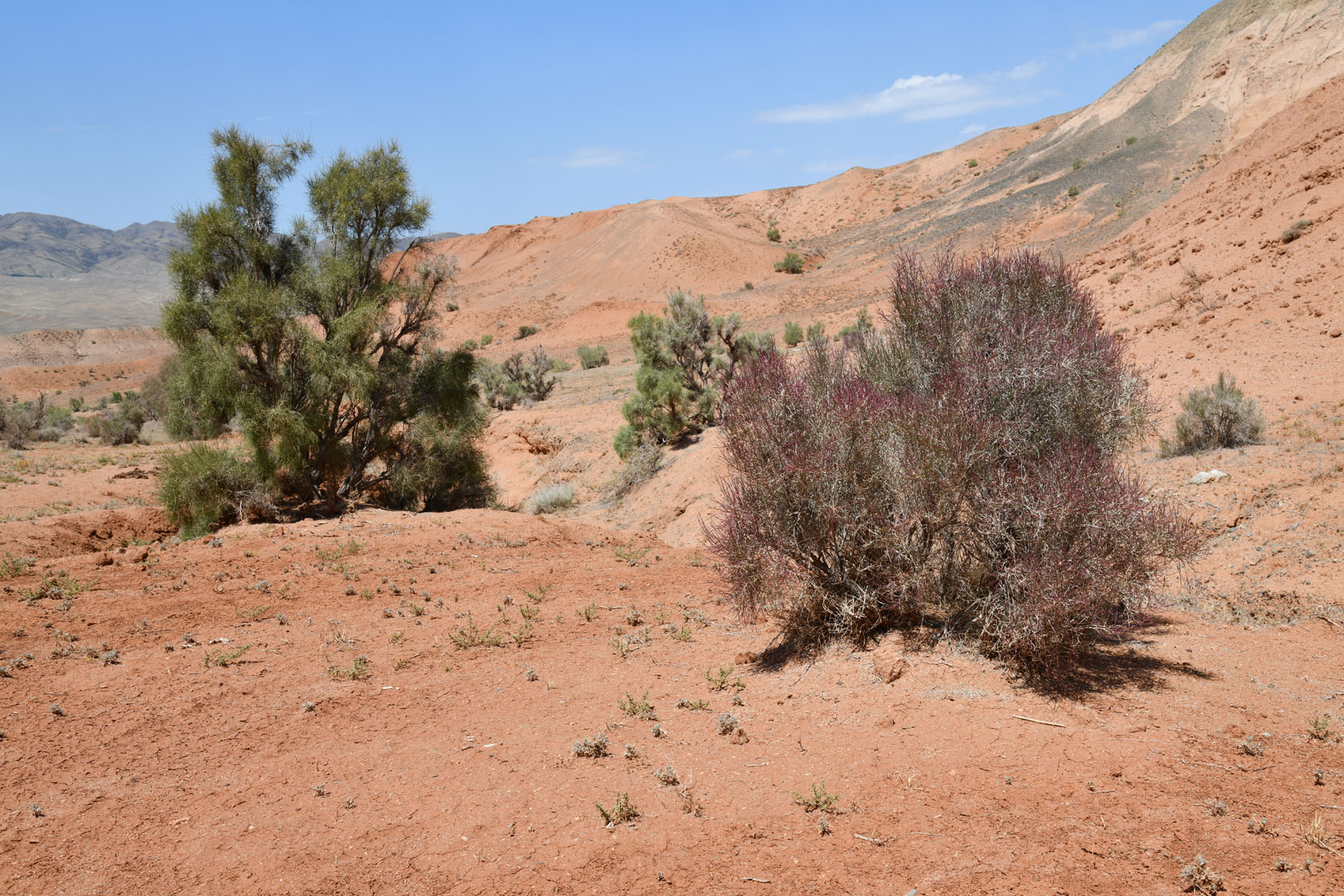 Горы Улькен-Богуты, image of landscape/habitat.