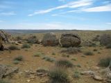 Image of landscape