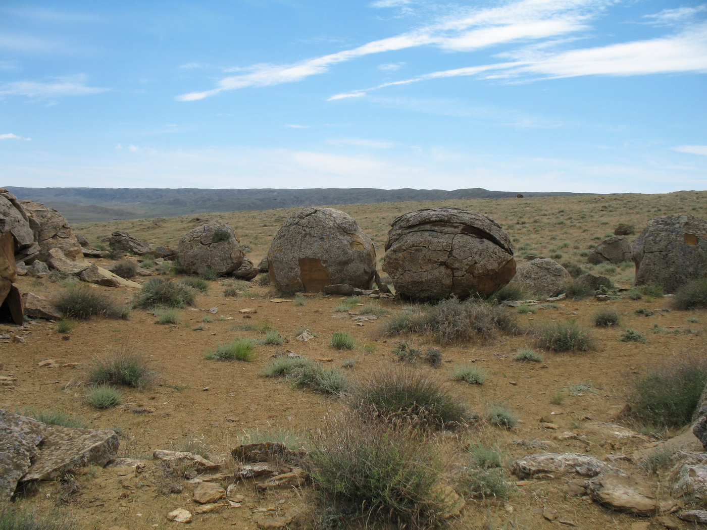 Торыш, image of landscape/habitat.
