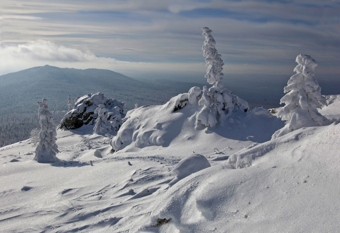 Хребет Уреньга, image of landscape/habitat.