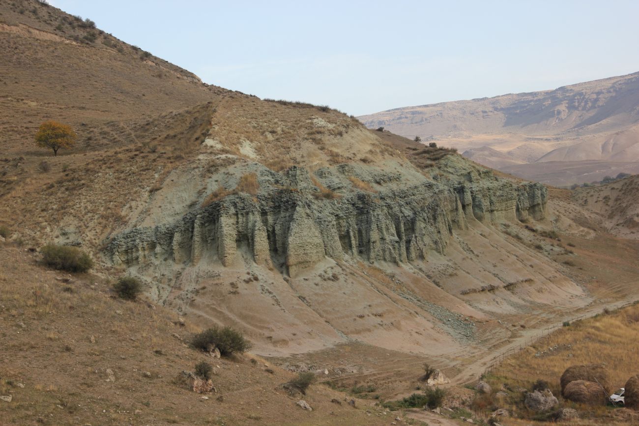 Окрестности села Тмогви, image of landscape/habitat.