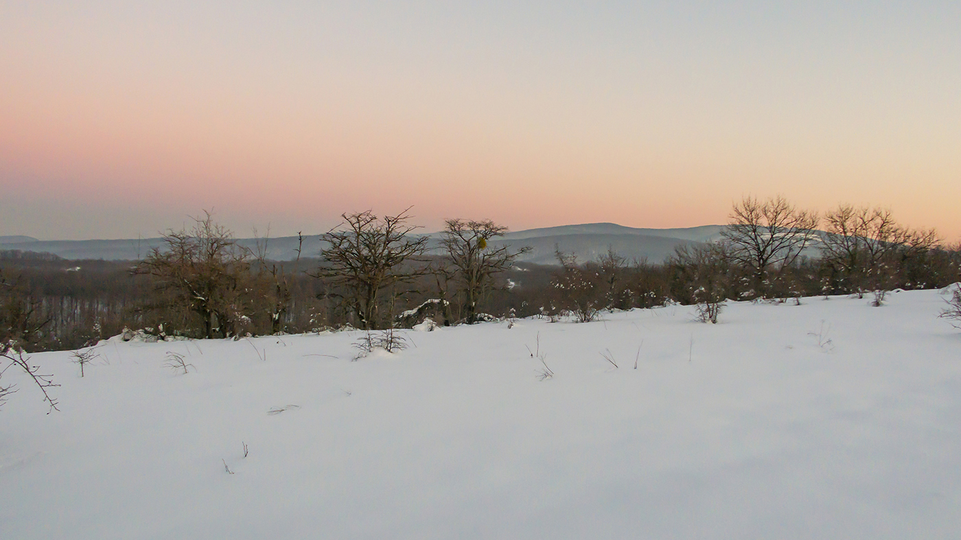 Вышка, image of landscape/habitat.