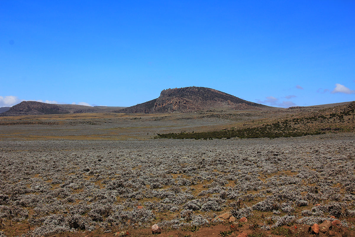 Плато Санети, image of landscape/habitat.