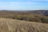 Херсонка, image of landscape/habitat.