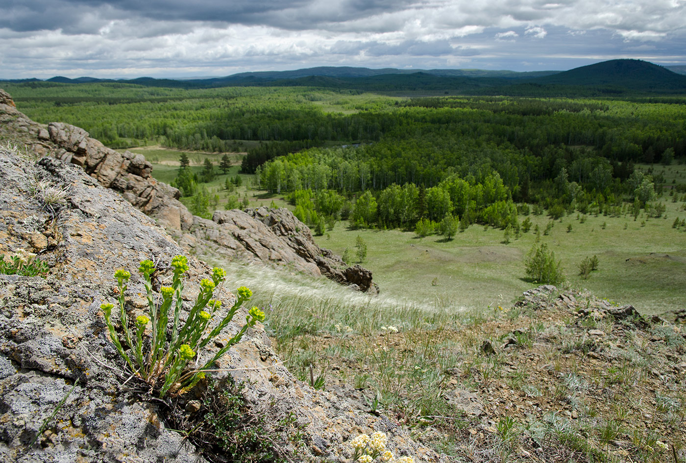 Яльчигулово и окрестности, image of landscape/habitat.