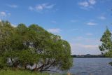 Парк Грековой, image of landscape/habitat.