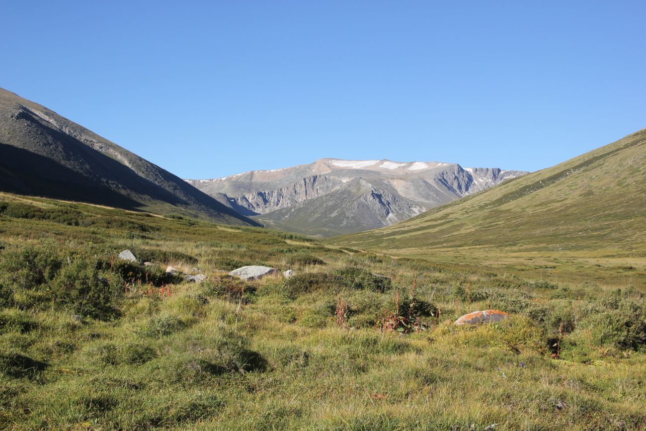 Джумалинские ключи, image of landscape/habitat.