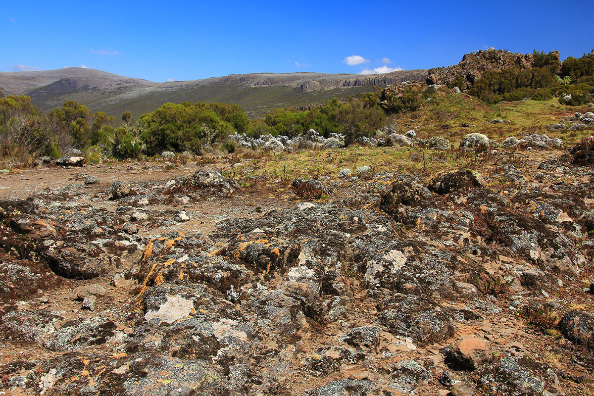 Плато Санети, image of landscape/habitat.