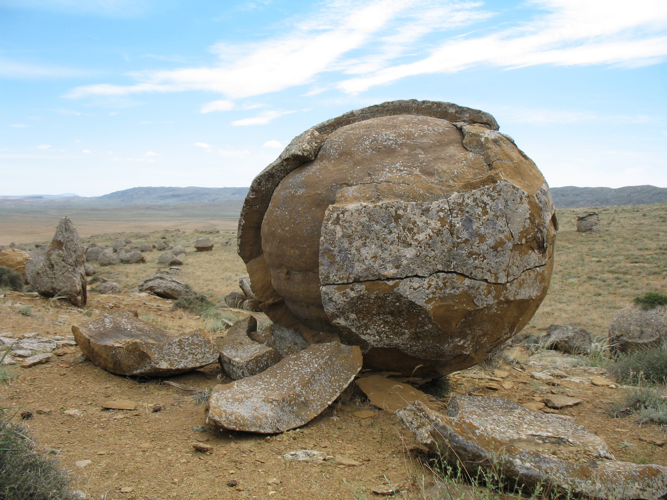 Торыш, image of landscape/habitat.