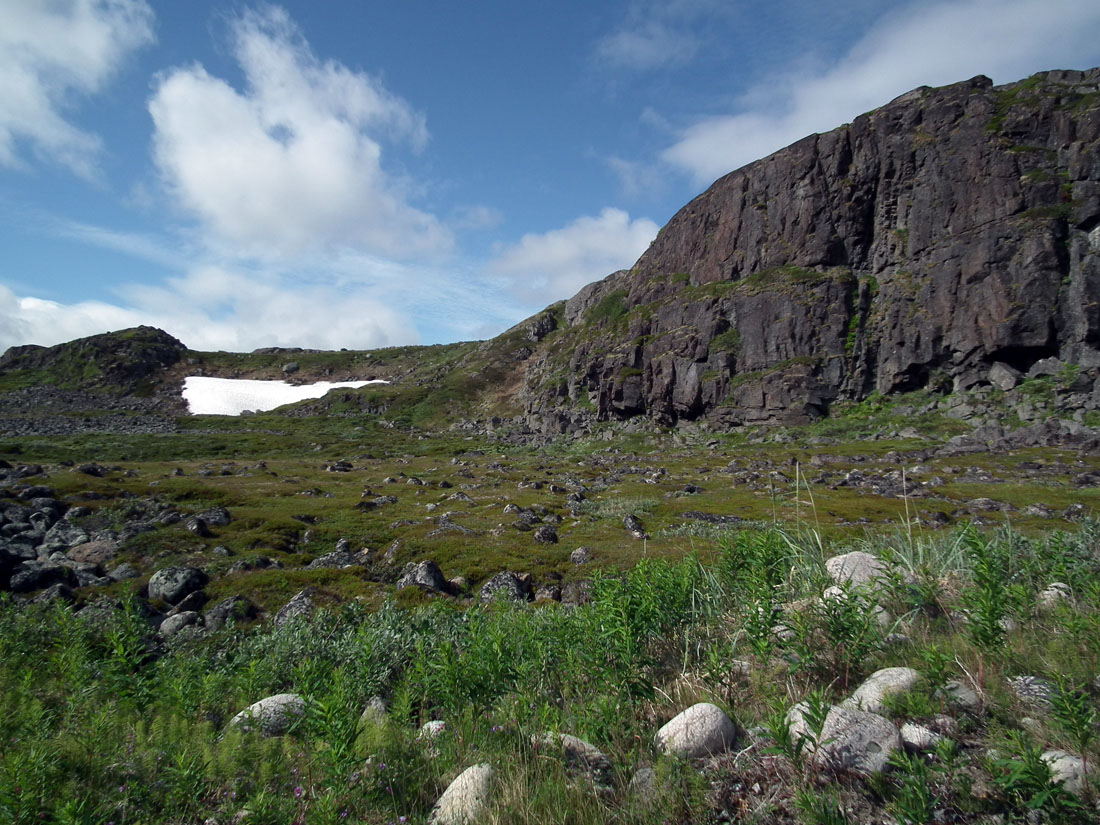 Дальние Зеленцы, image of landscape/habitat.