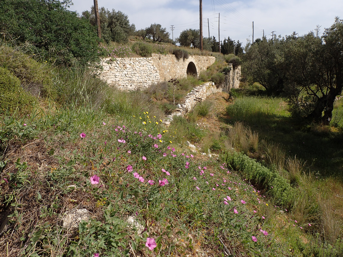 Остров Парос, image of landscape/habitat.