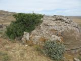 Image of landscape
