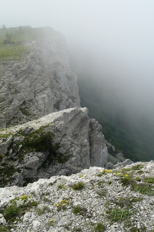 Гурзуфская яйла, image of landscape/habitat.