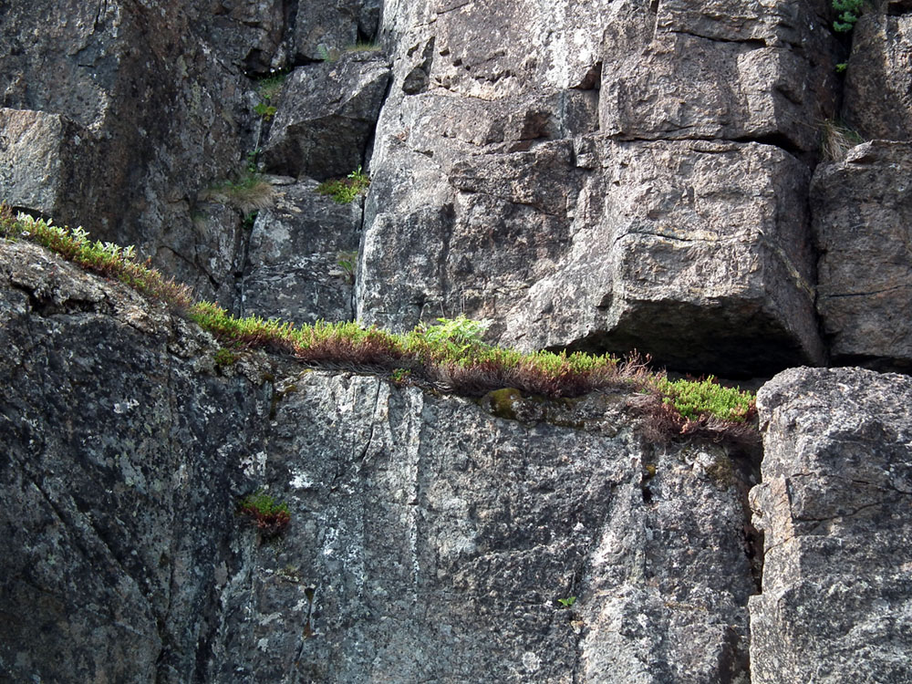 Дальние Зеленцы, image of landscape/habitat.