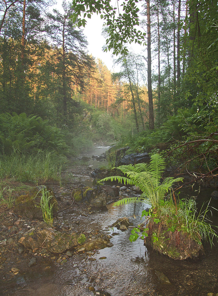 Камлак, image of landscape/habitat.