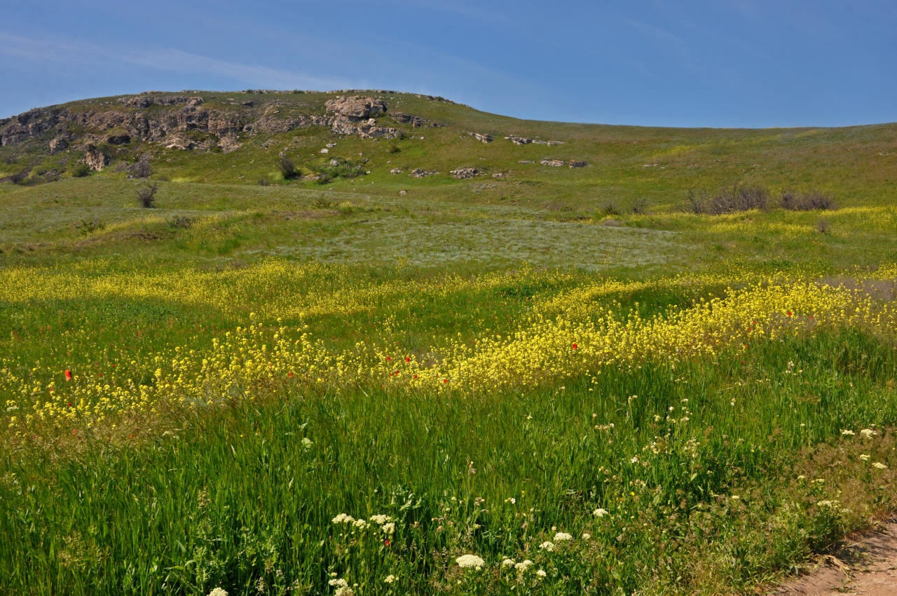 Коровья бухта, image of landscape/habitat.