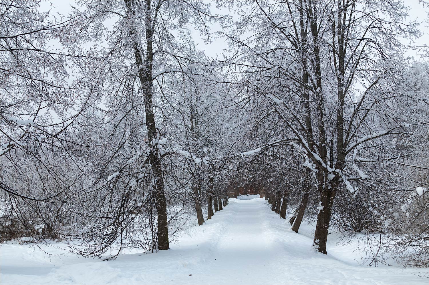 Парк "Сергиевка", image of landscape/habitat.