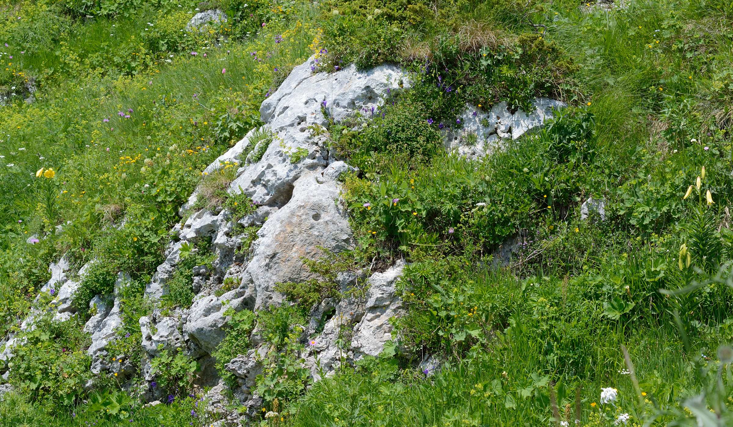Узуруб, изображение ландшафта.