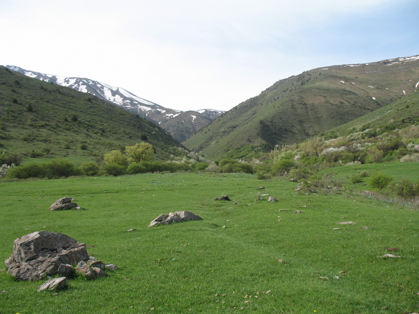 Талды-Булак, image of landscape/habitat.