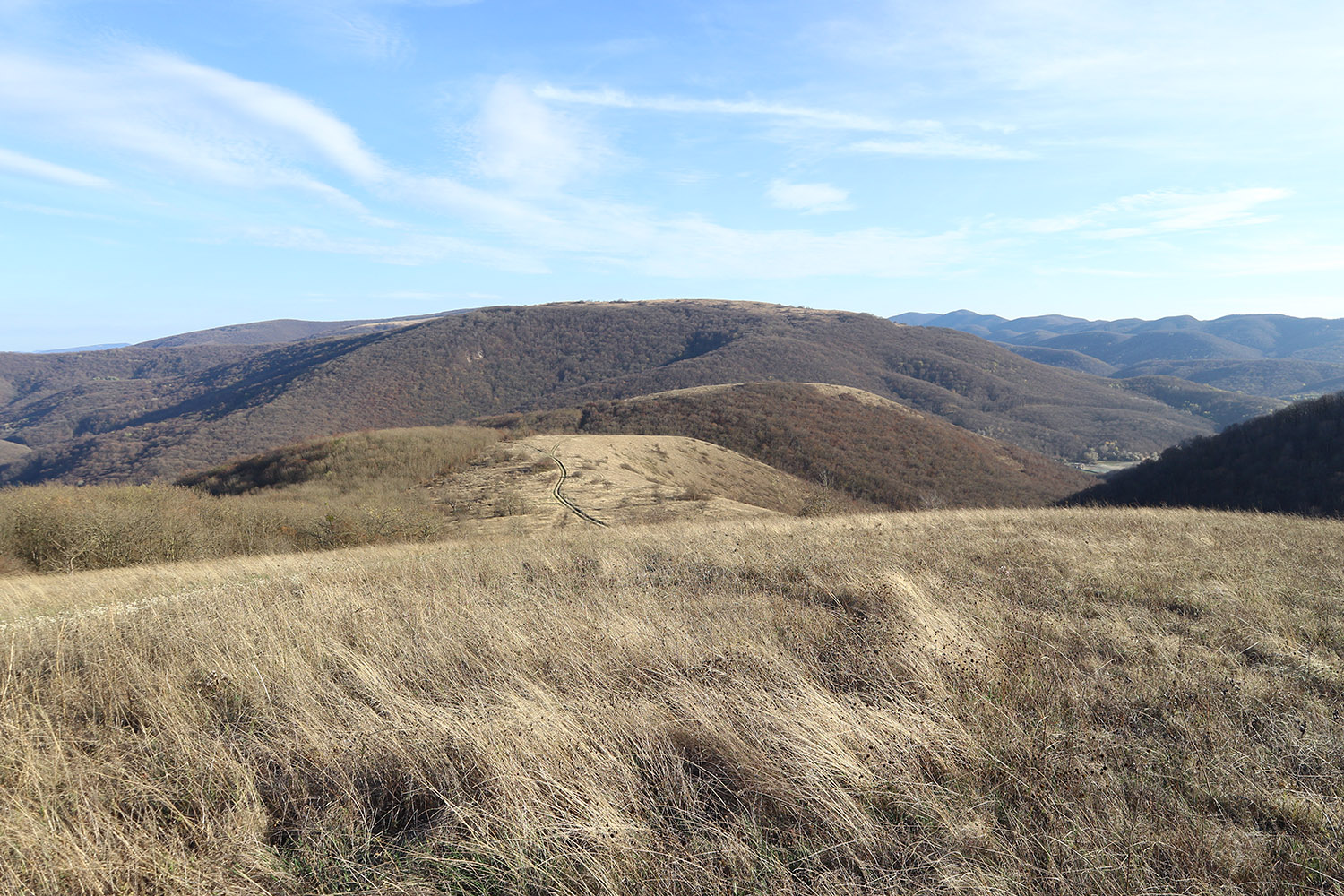 Херсонка, image of landscape/habitat.