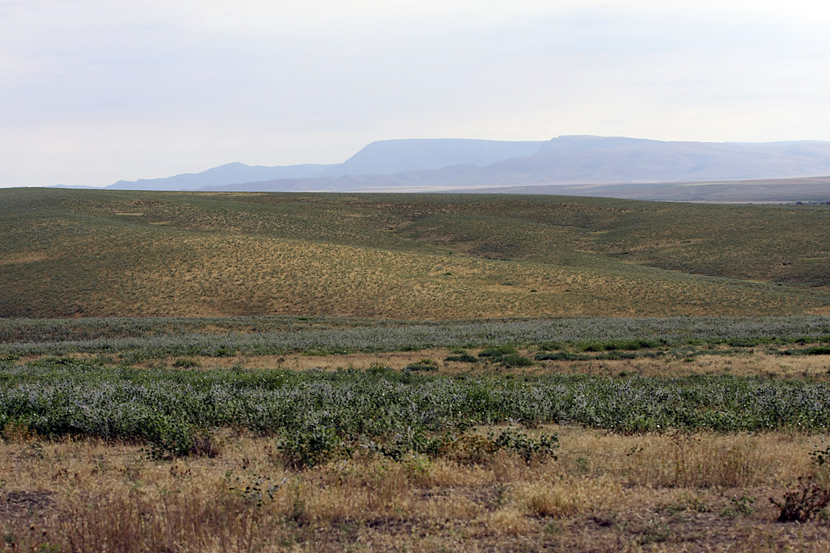 Нижний Боролдай, image of landscape/habitat.