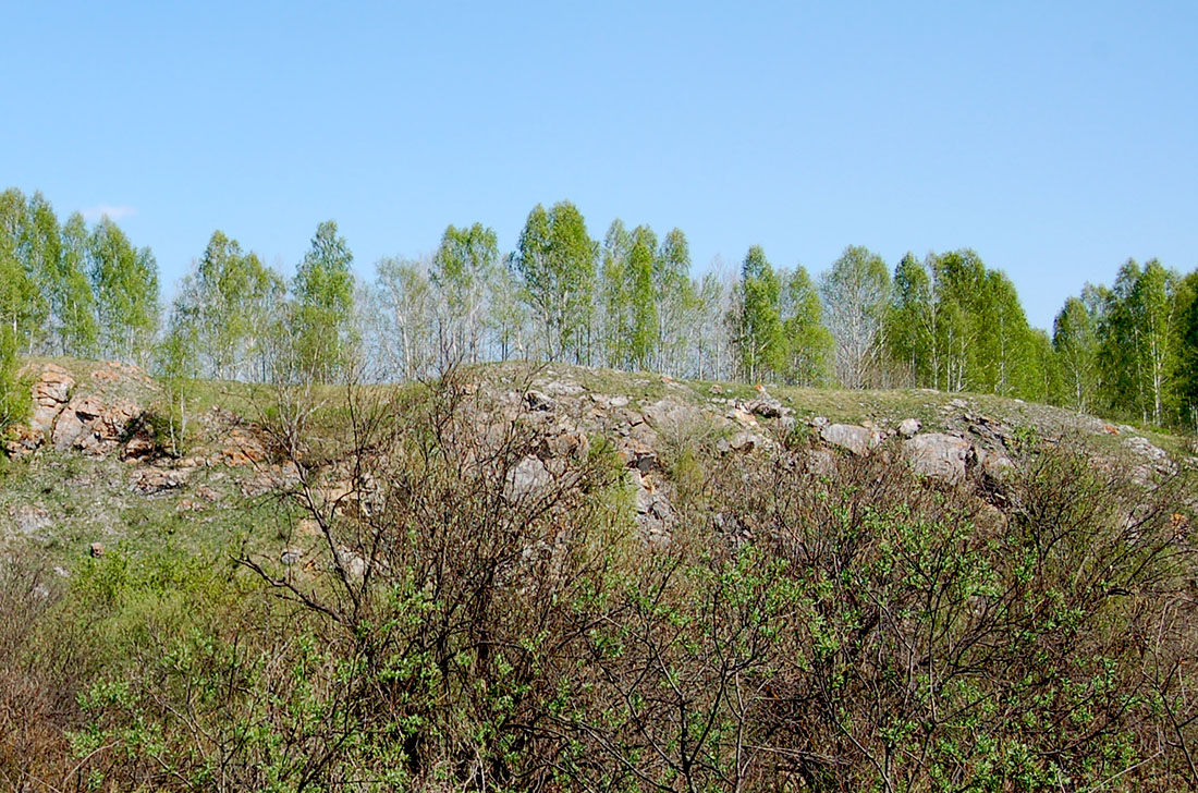 Согры Изылы, image of landscape/habitat.