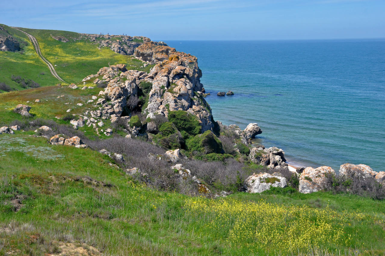 Коровья бухта, image of landscape/habitat.