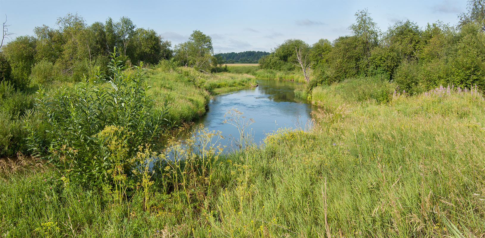 Окрестности Черновского, image of landscape/habitat.