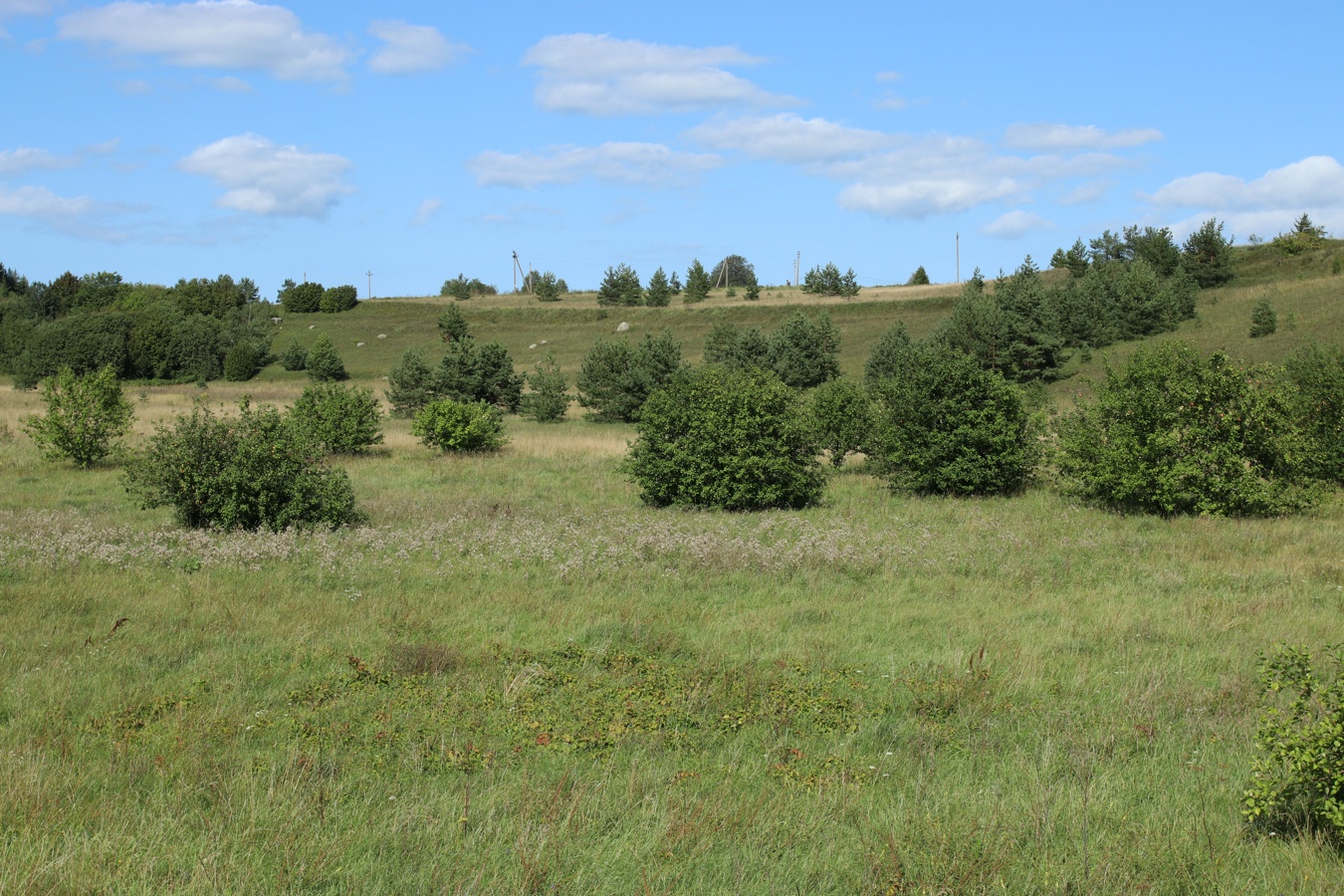 Изборско-Мальская долина, image of landscape/habitat.
