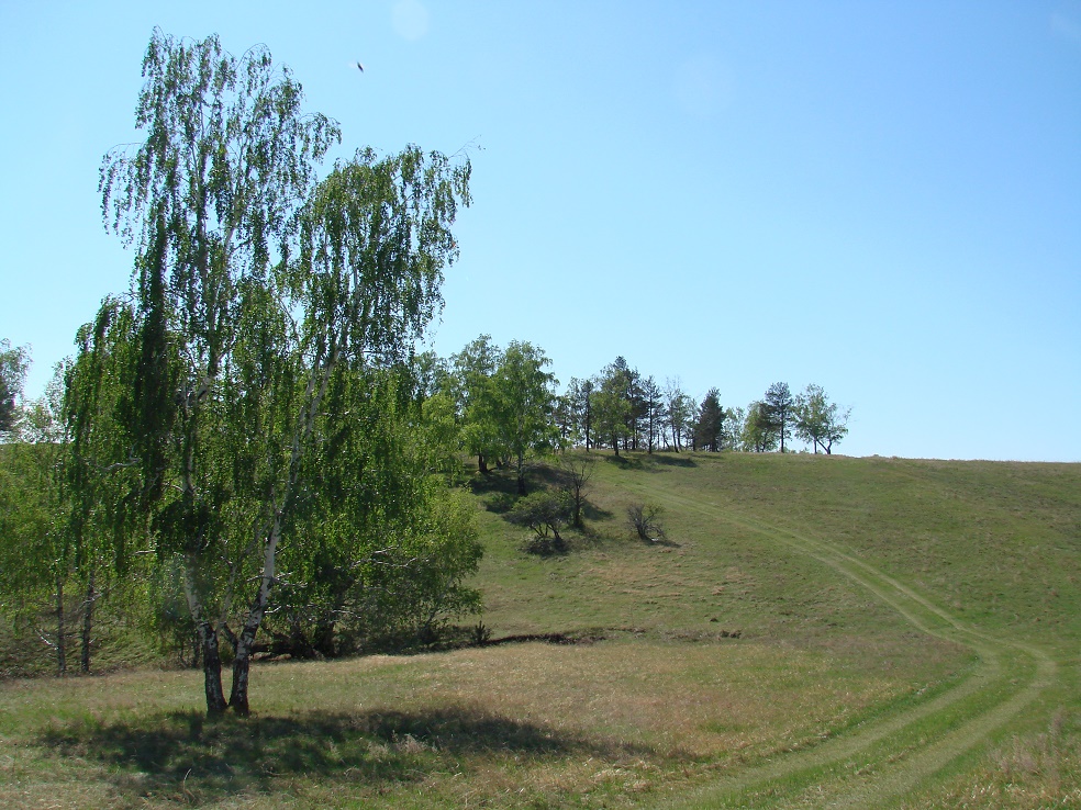 Белая, image of landscape/habitat.