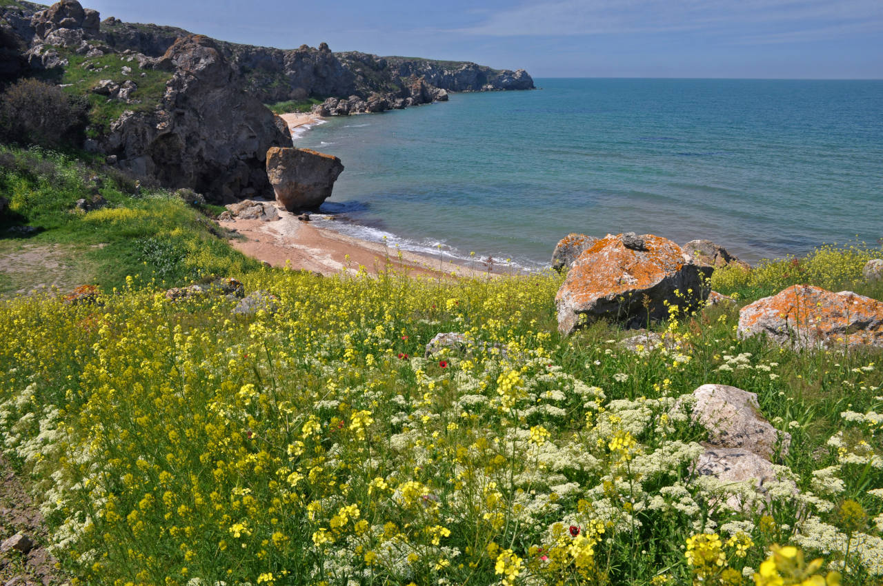 Коровья бухта, image of landscape/habitat.