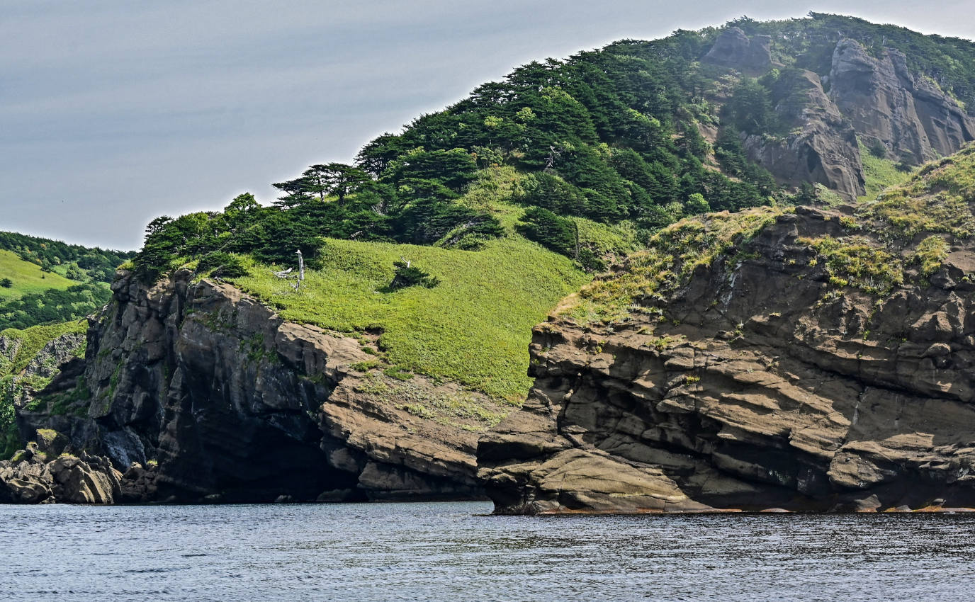 Окрестности мыса Угольный, image of landscape/habitat.