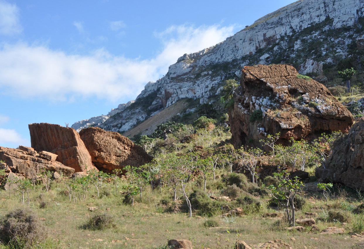 Окрестности пещеры Хок, image of landscape/habitat.