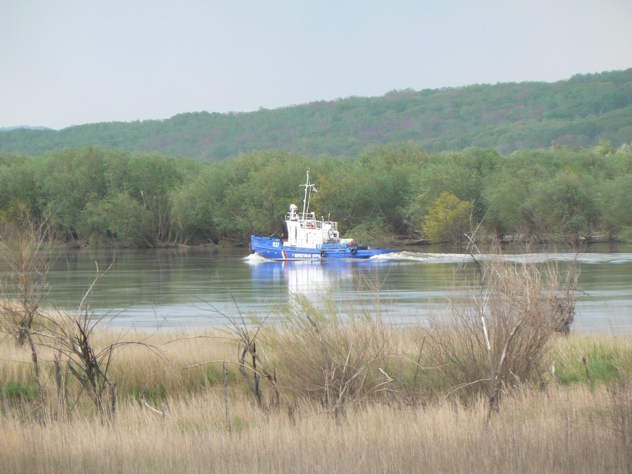 Большой Уссурийский остров, image of landscape/habitat.