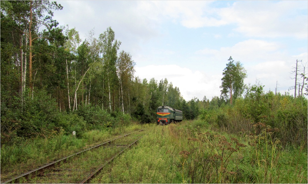 Пелецкий Мох, image of landscape/habitat.