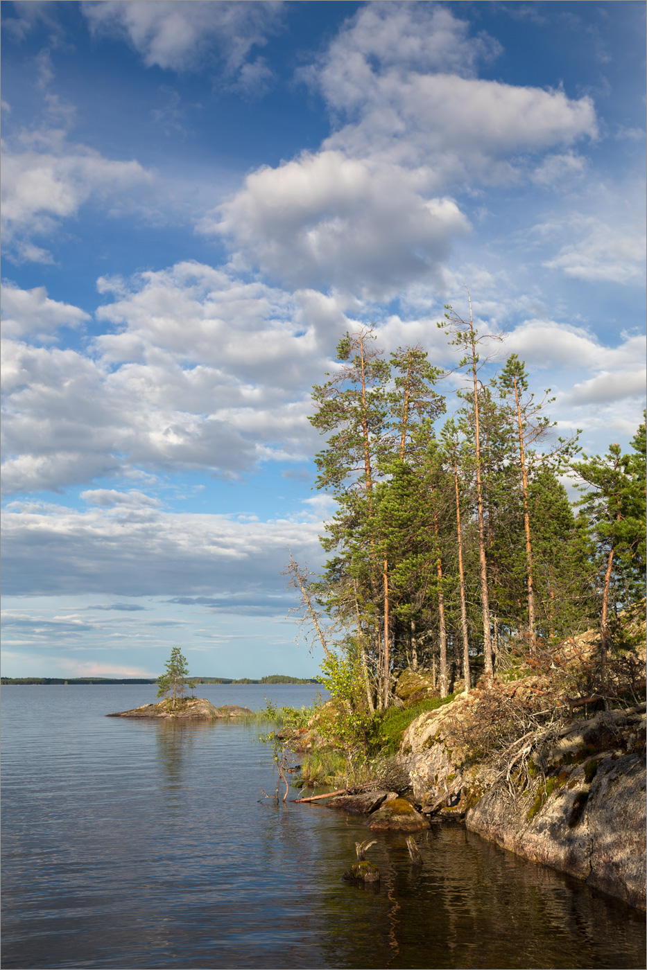 Нотозеро, image of landscape/habitat.