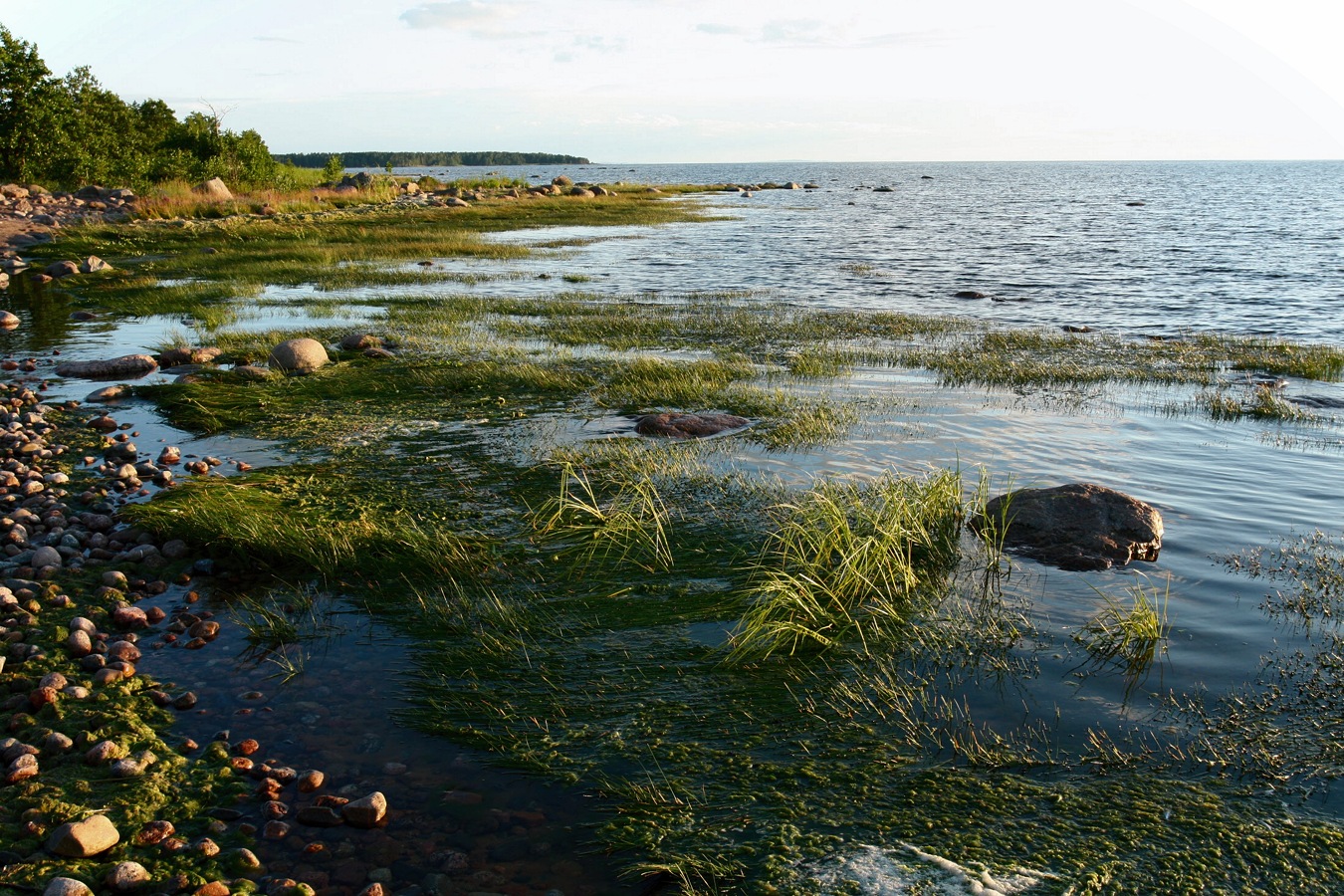 Каравалдай, image of landscape/habitat.