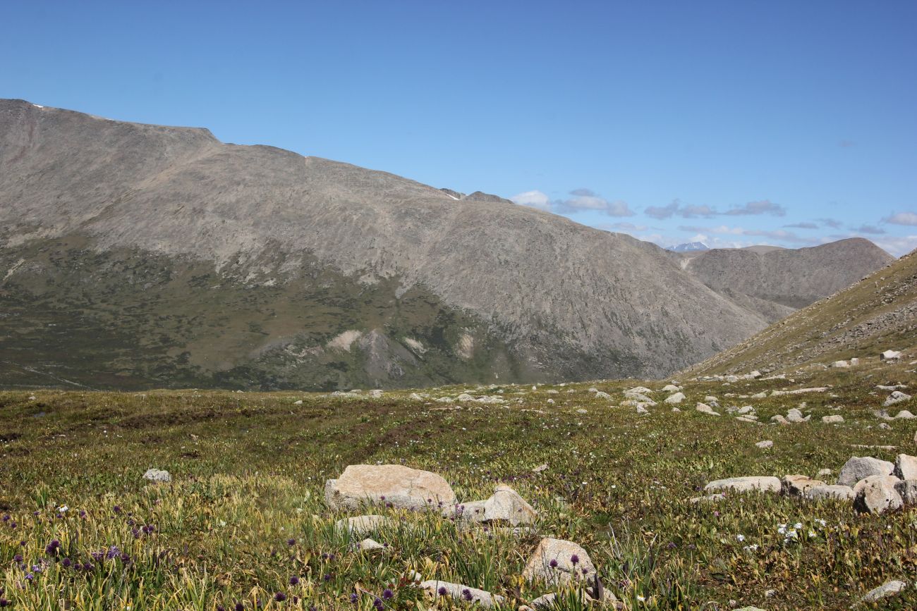 Перевал Тёплый Ключ, image of landscape/habitat.