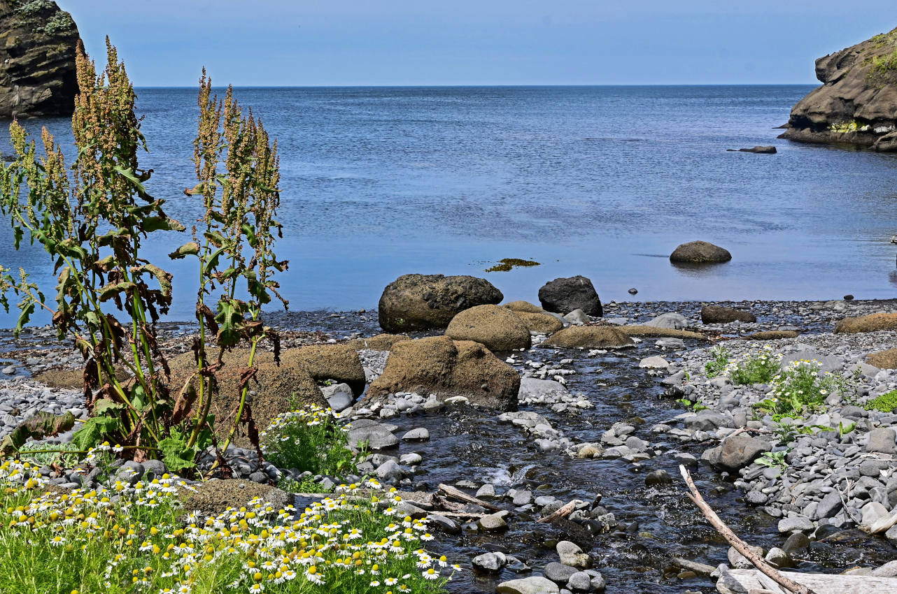 Окрестности мыса Угольный, image of landscape/habitat.