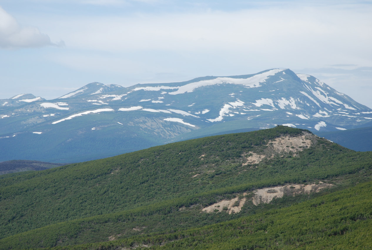 Перевал Снежный, image of landscape/habitat.