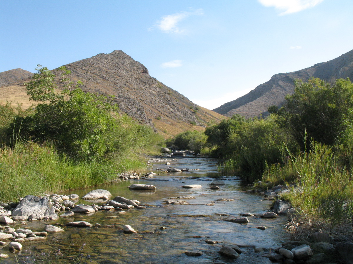 Биресик, image of landscape/habitat.