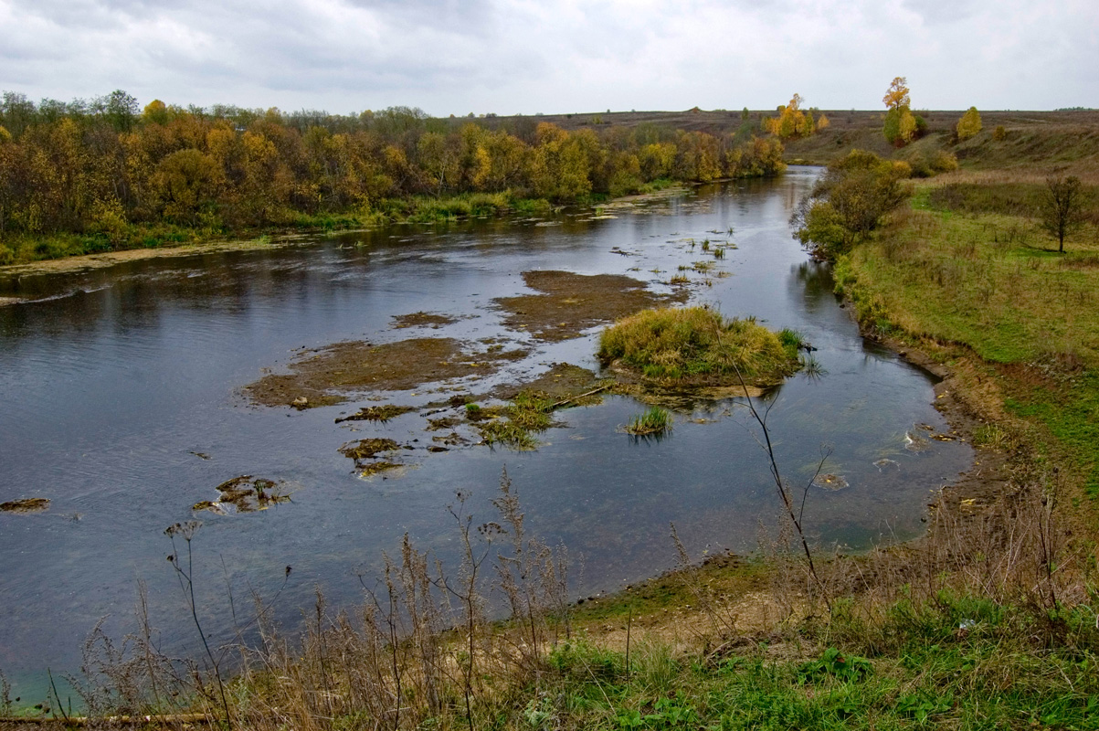 Окрестности деревни Карнаухово, image of landscape/habitat.