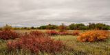 Тулунжа, image of landscape/habitat.