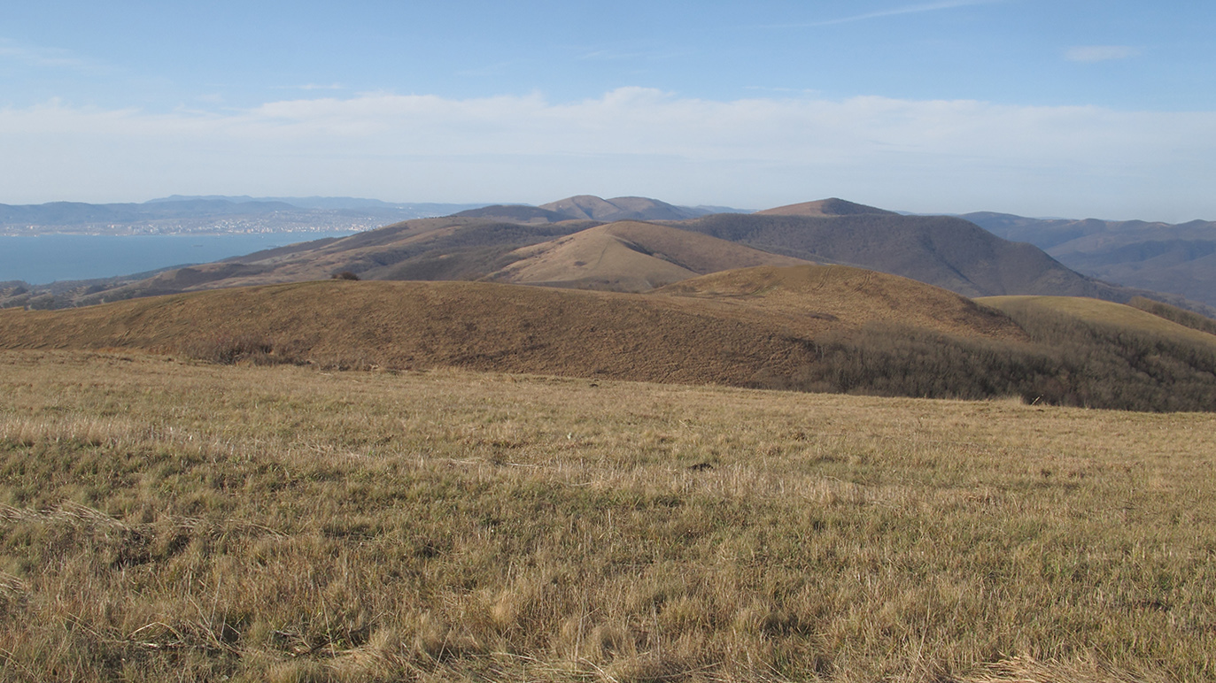 Урочище Солдатский Бугор, image of landscape/habitat.